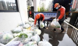 郴州吃瓜最新事件爆料新闻,揭秘背后惊人真相，网络舆论漩涡再起